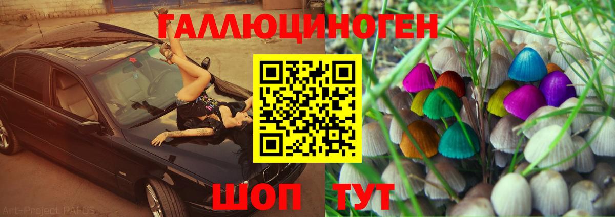 Ижевск  Псилоцибиновые грибы Psilocybine cubensis  Вход с VPN 